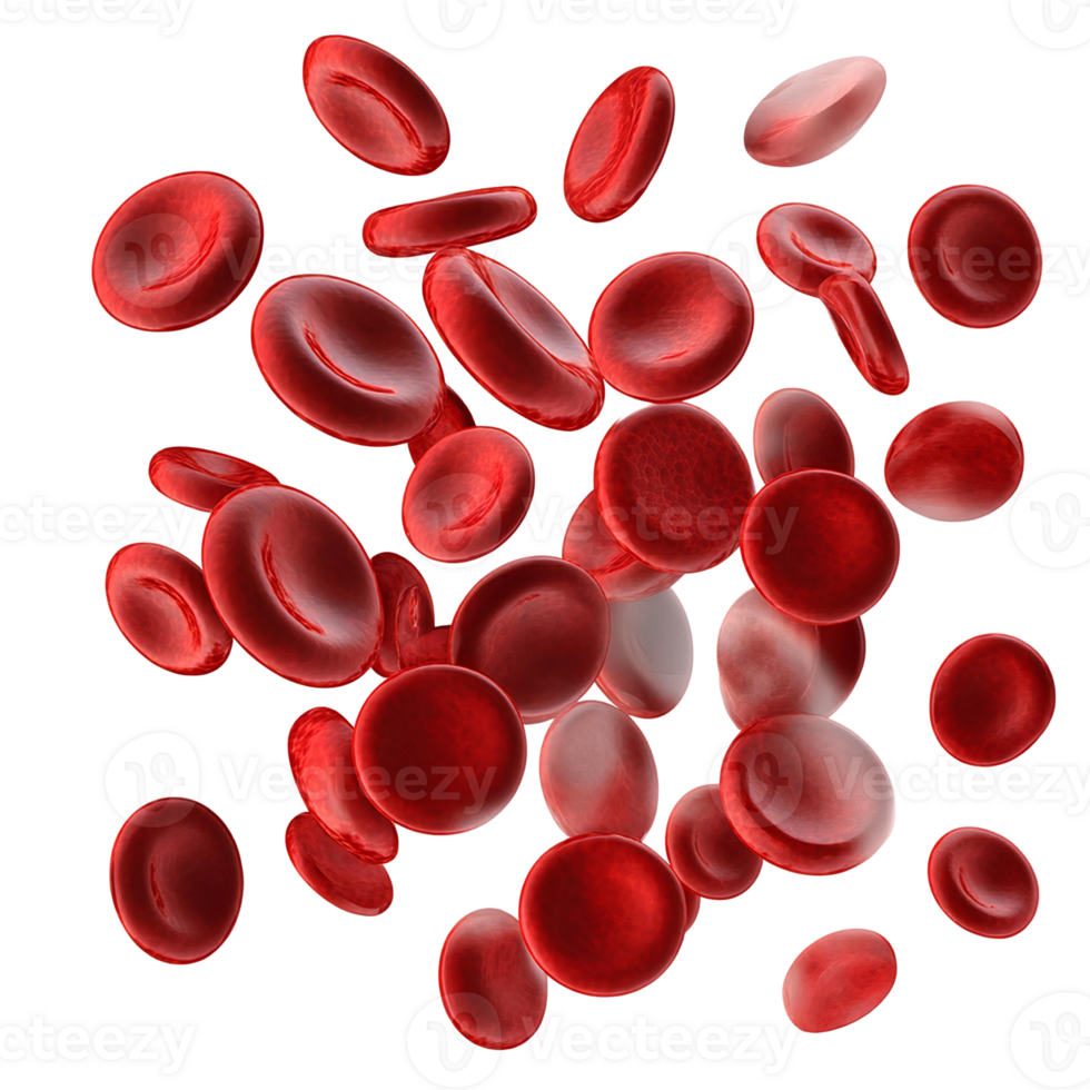 Red blood cells 3d render on transparent background png