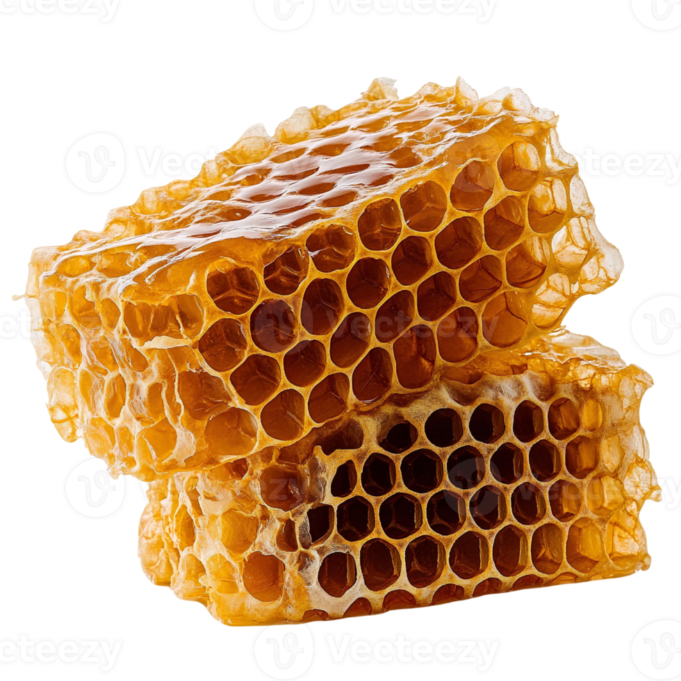 Honeycomb honeycomb pieces on transparent background png