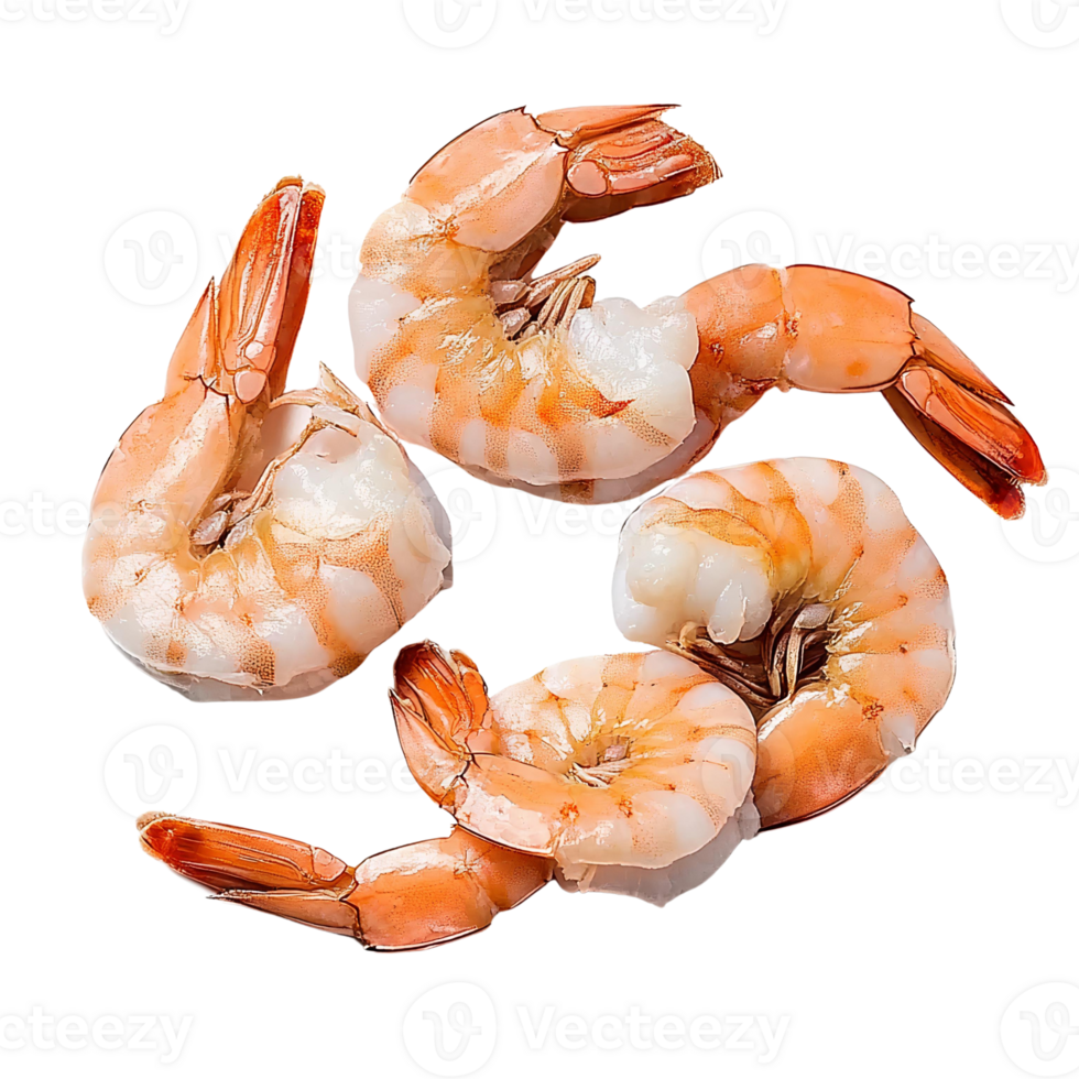 Delicious Cooked Shrimp Isolated on Transparent Background png