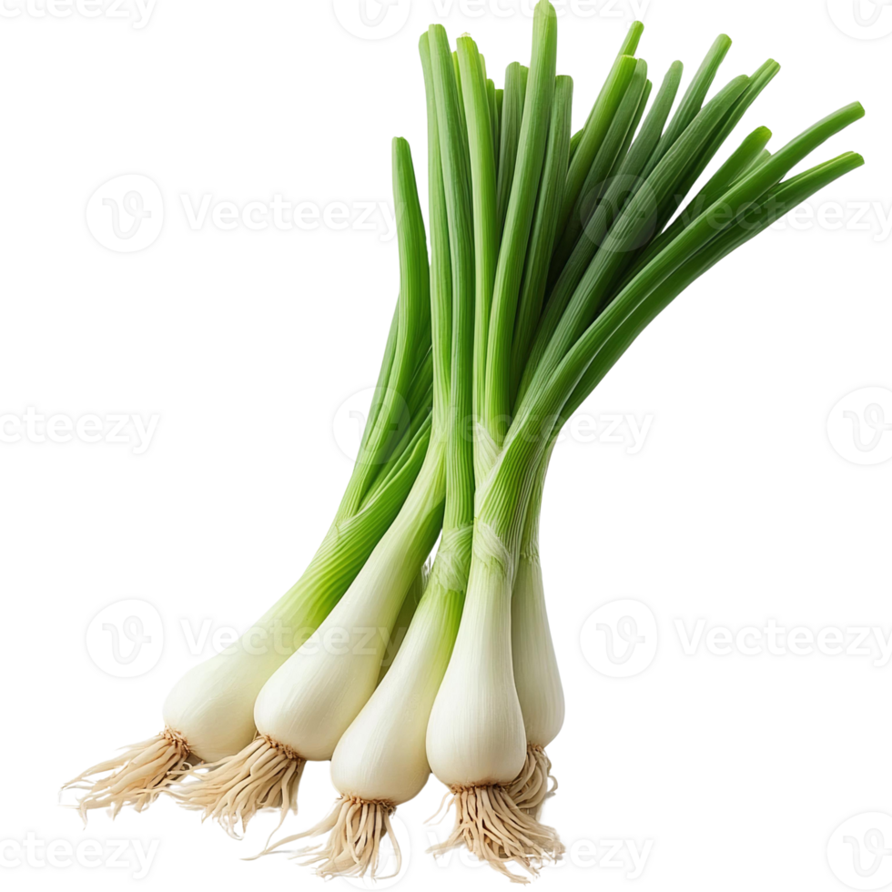 Vibrant Green Onions Bunch Isolated on Transparent Background png