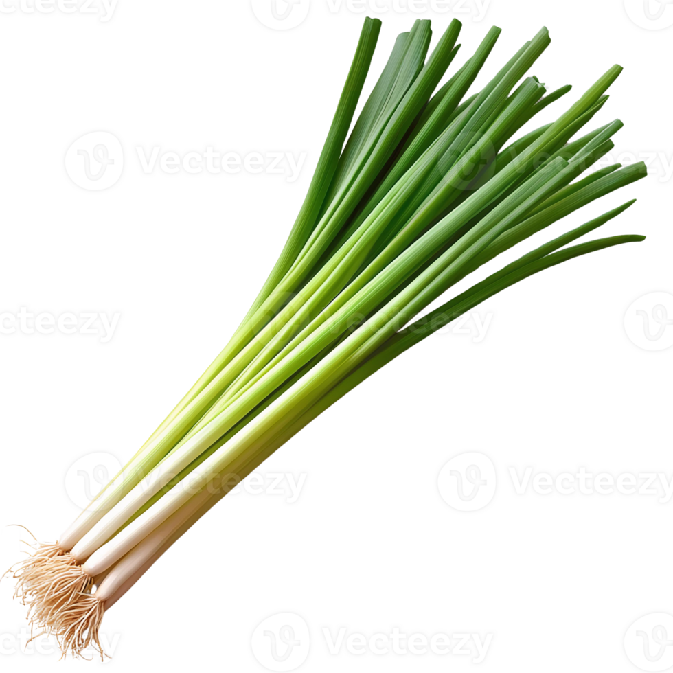 Crisp Green Onions Bunch on Transparent Background png