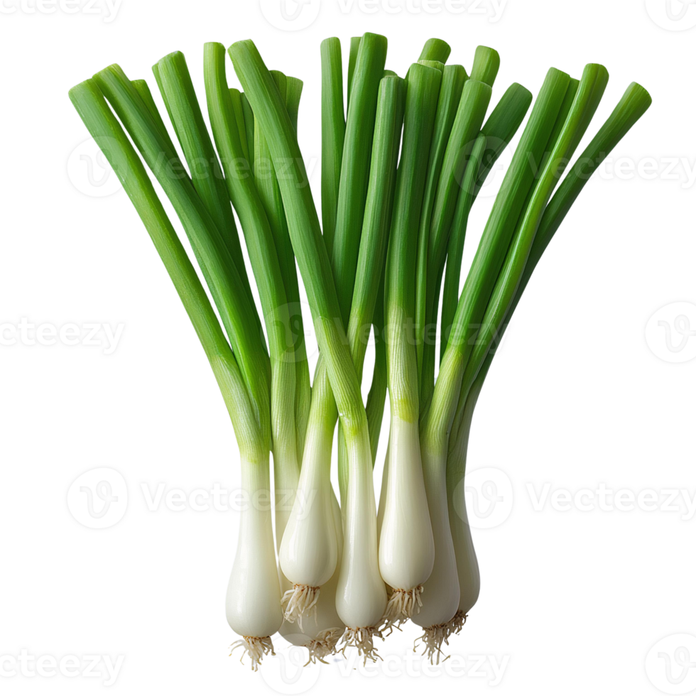 Healthy Bunch of Green Onions Isolated on Transparent Background png