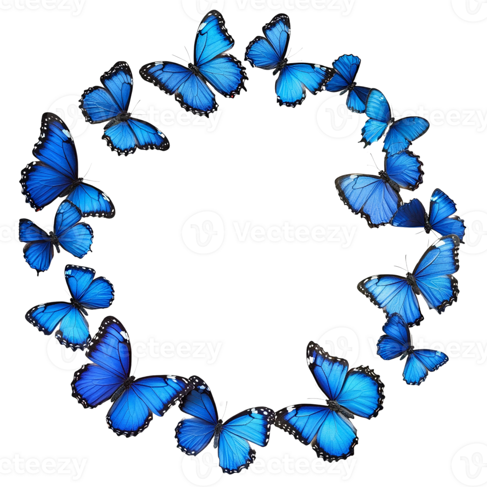 Blue morpho butterflies circular frame on Transparent Background png