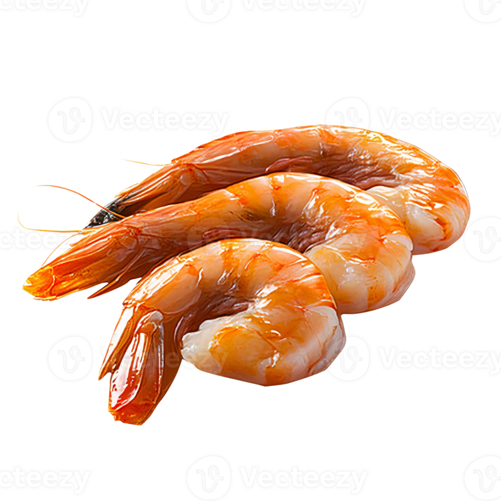 Cooked shrimp on transparent background png