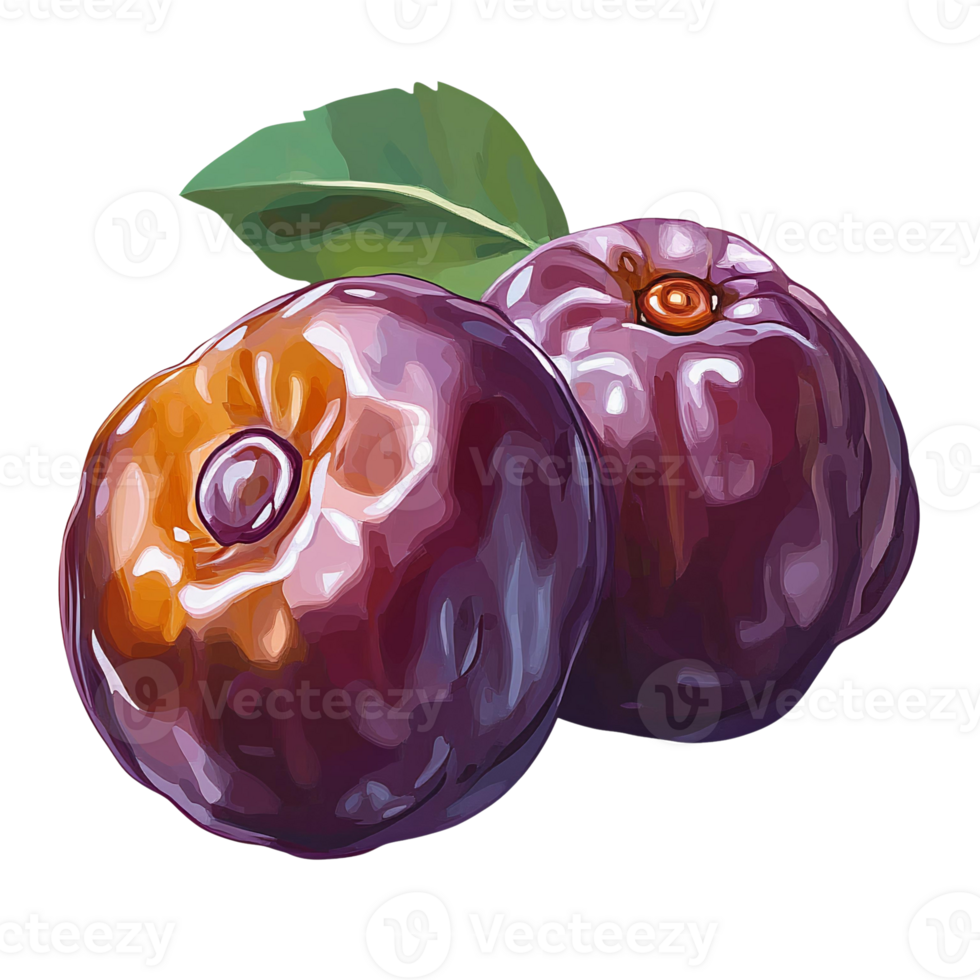 Plums with leaf digital painting on transparent background png