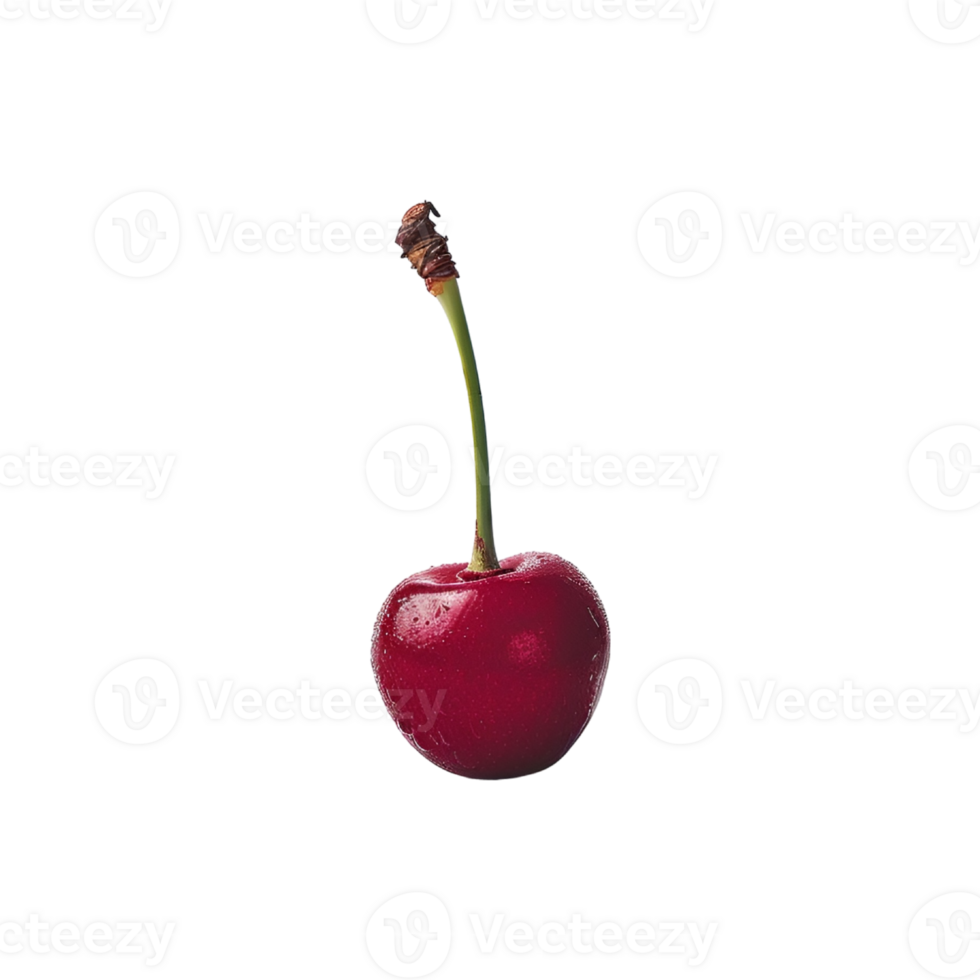 Single cherry on a transparent background png