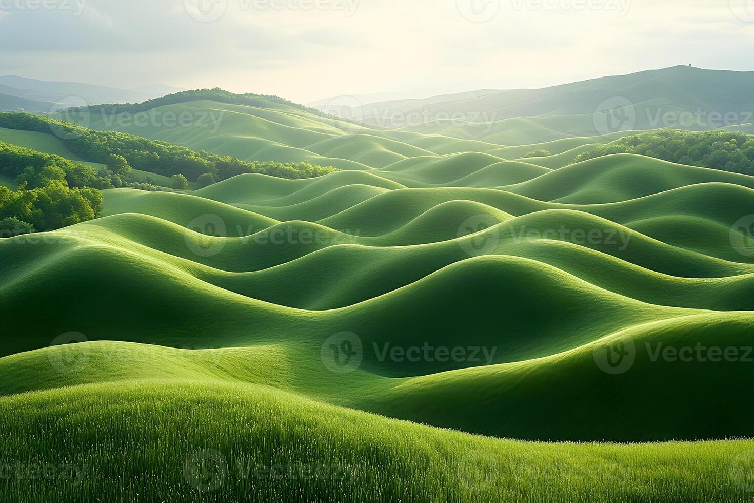 Serene Green Hillside Landscape - Nature's Waves Under Soft Light - Perfect for Posters or Prints photo