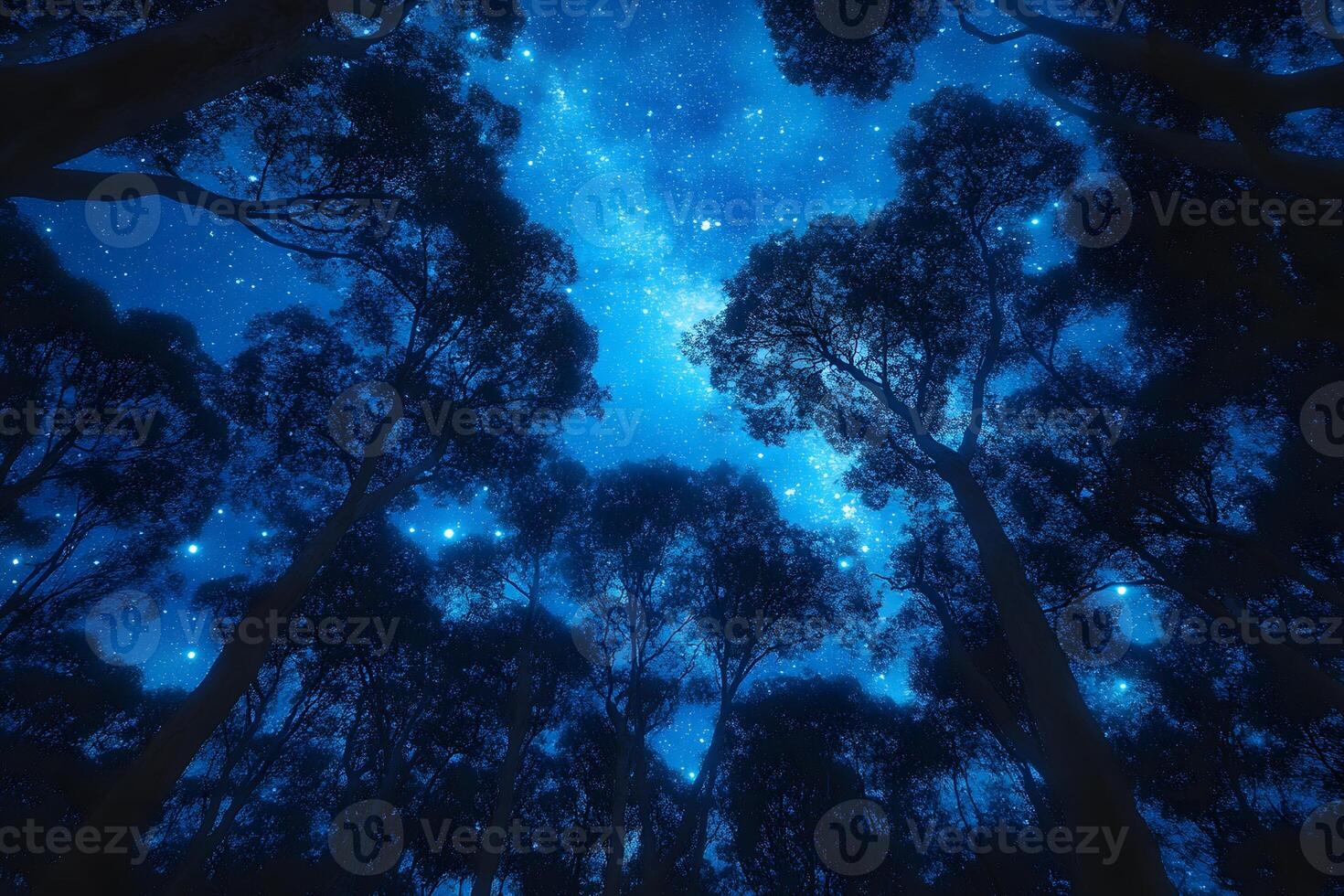 Starlit Forest Wonderland Mystical Night Sky and Trees for Dreamlike Prints photo
