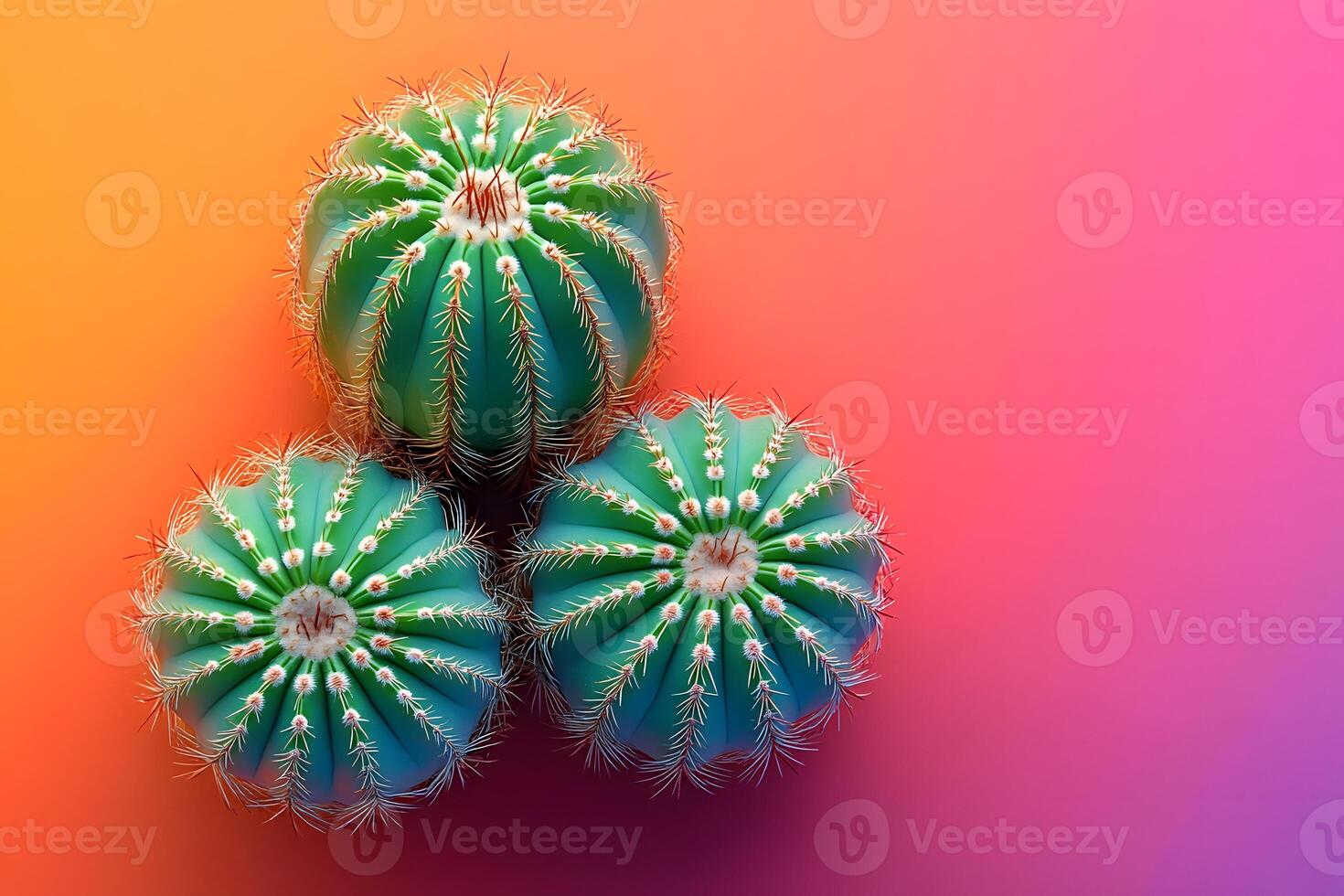 Vibrant Cactus Trio Against Gradient Backdrop for Modern Decor and Design photo