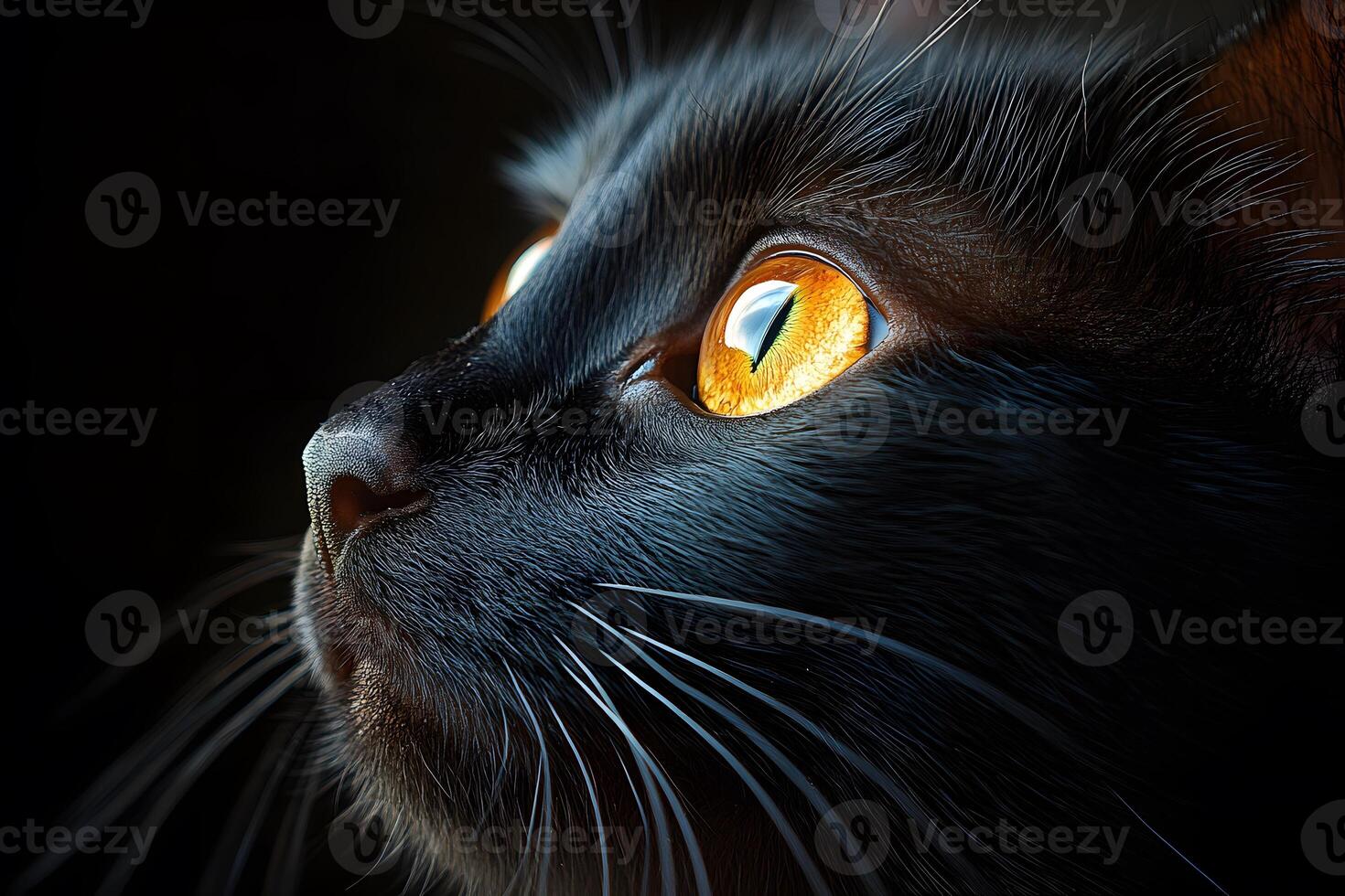 Enigmatic Black Cat with Intense Golden Eyes in Low Light photo
