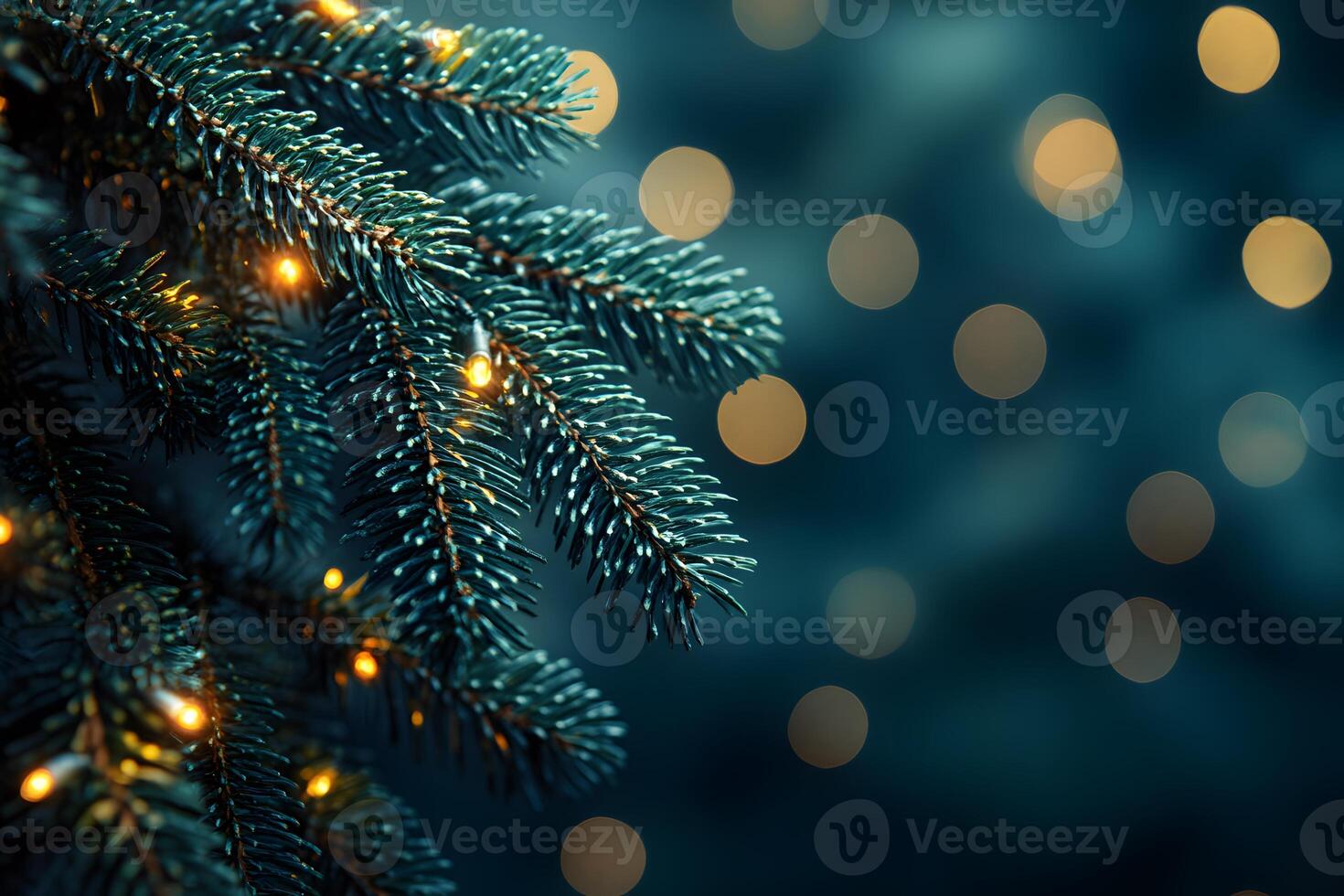 Festive Winter Evergreen Branches with Illuminated Bokeh Lights for Holiday Decor photo