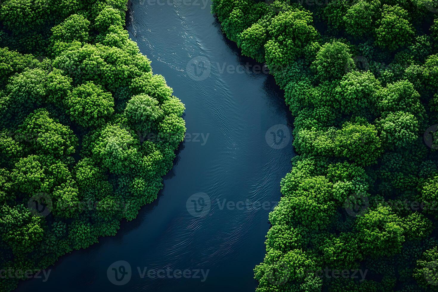 Aerial View of Serene River Flowing Through Lush Green Forest photo