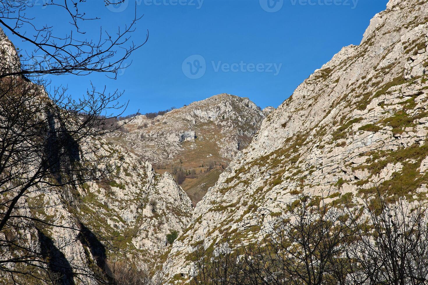 Breathtaking mountain landscape with lush meadows and bare trees in spain s natural park photo