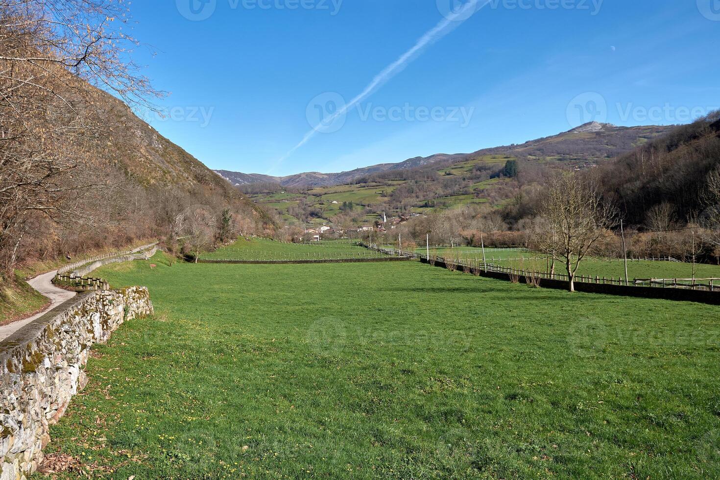Lush green meadow seen from a hiking trail in Redes Natural Park, Asturias photo