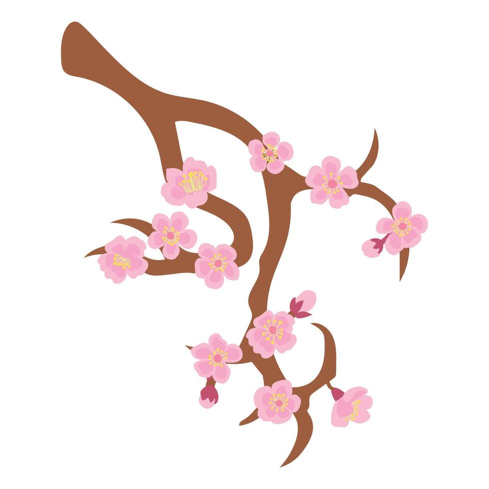 Illustration of a blossoming Sakura branch. White background, isolate vector
