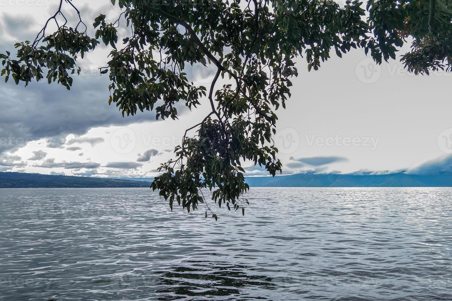 A serene lake scene with tree branches in the foreground, with mountains and a clear cloudy sky in the background. photo