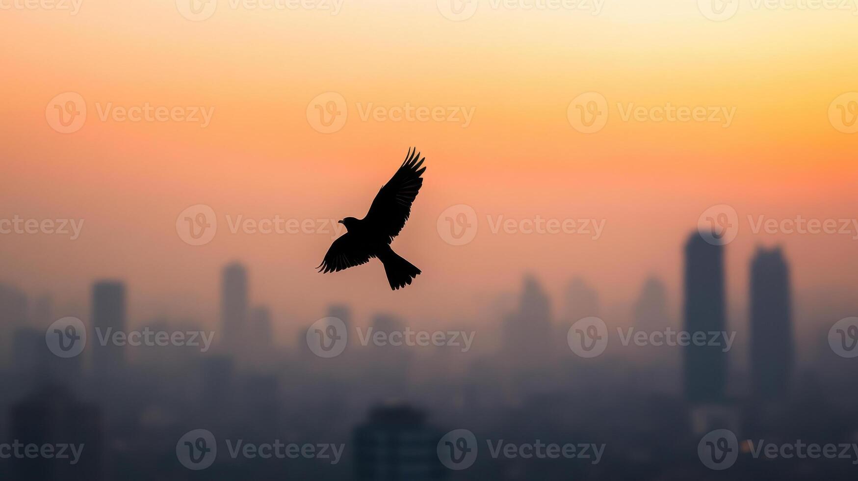 bird soaring above city skyline at sunset, symbolizing freedom photo