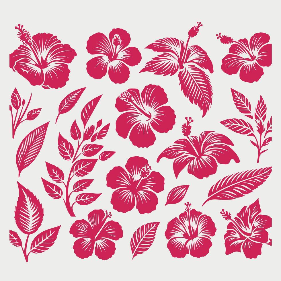 Set of hawaiian flowers and leaves illustration vector
