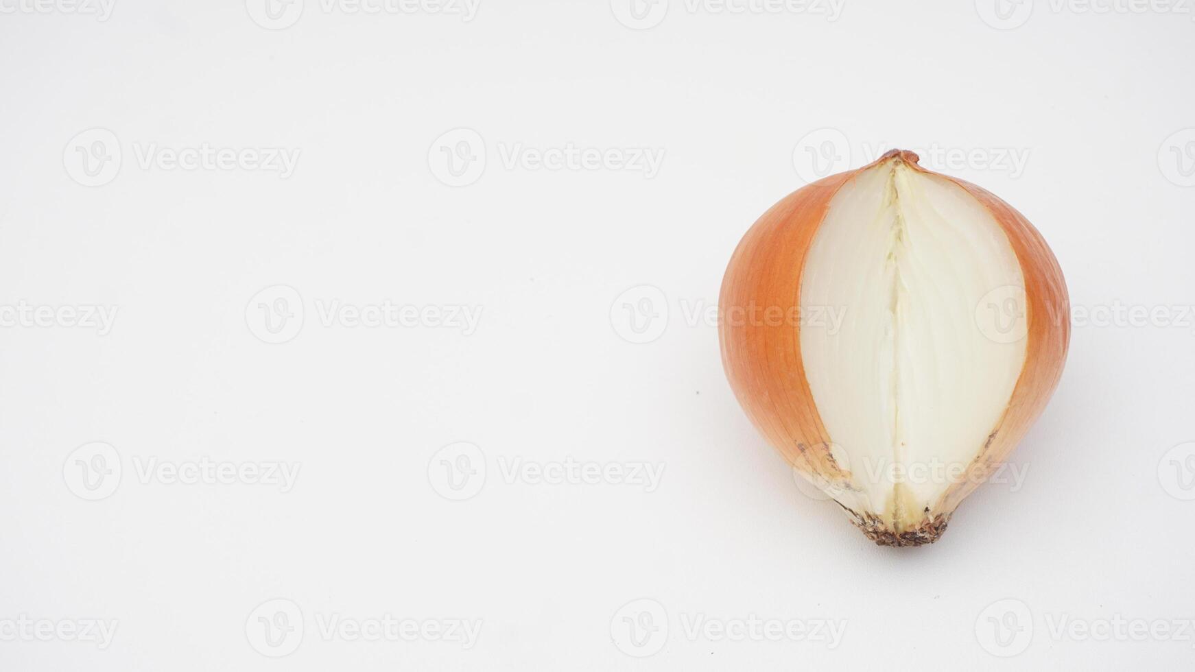 Sliced Onion Texture on White Background photo