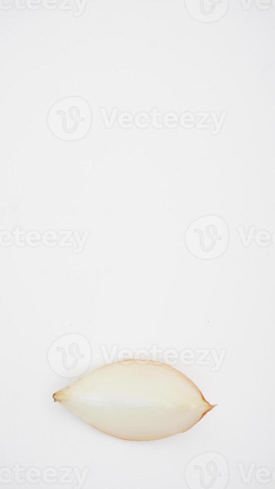 Top View of Slice of Onion on White Background photo