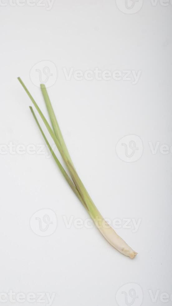 Lemongrass on White Background photo