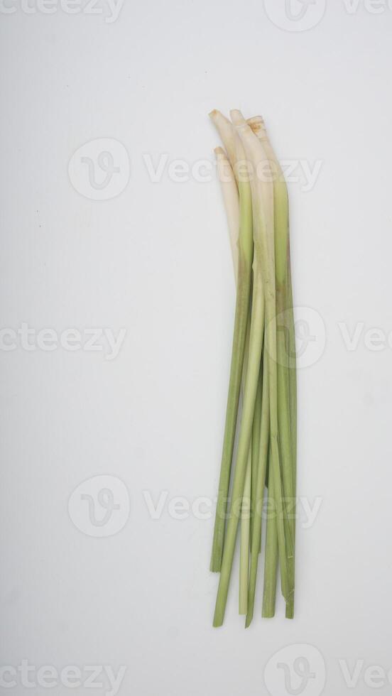 Stalks of Fresh Lemongrass Spice on White Background photo