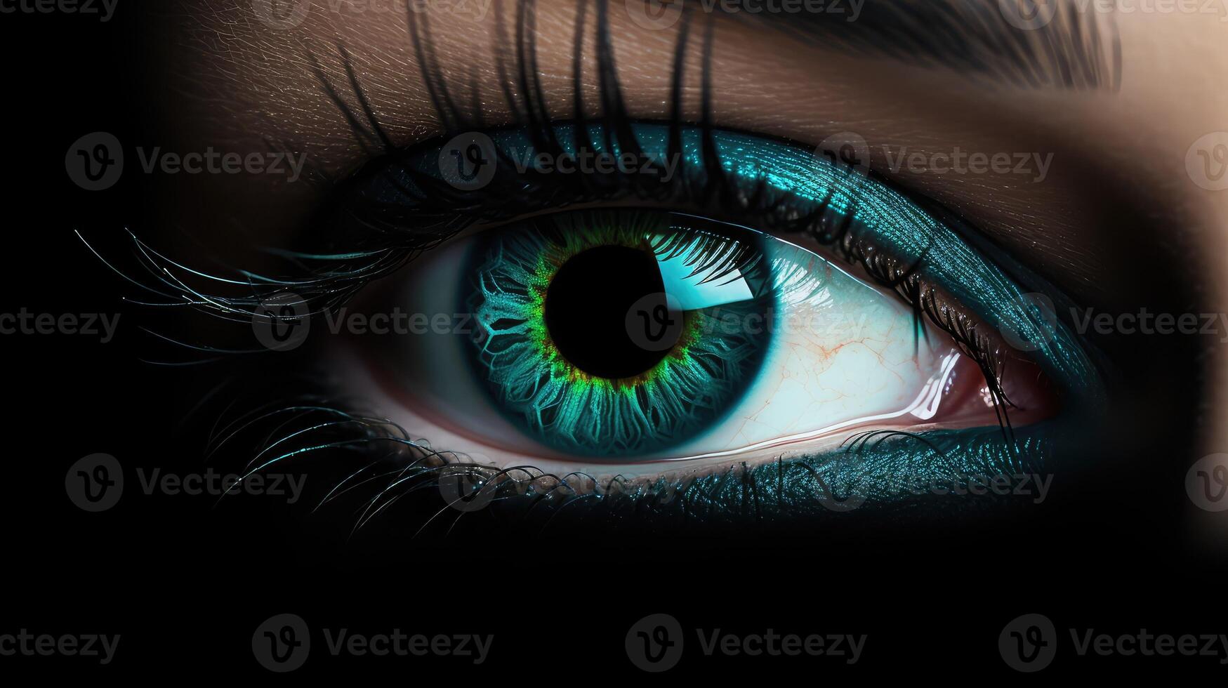 fashion black background white background photo
