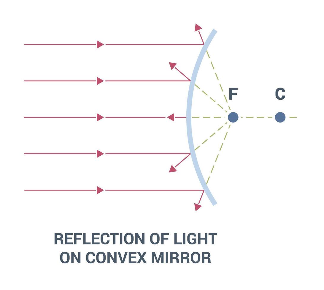 Reflection of Light on a Convex Mirror in Various Contexts and Scenarios vector