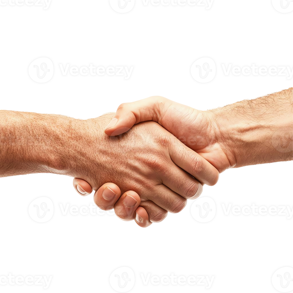 A close-up of two hands engaged in a firm handshake, symbolizing trust, agreement, and partnership in a professional setting. Ideal for discussions around business relationships. png