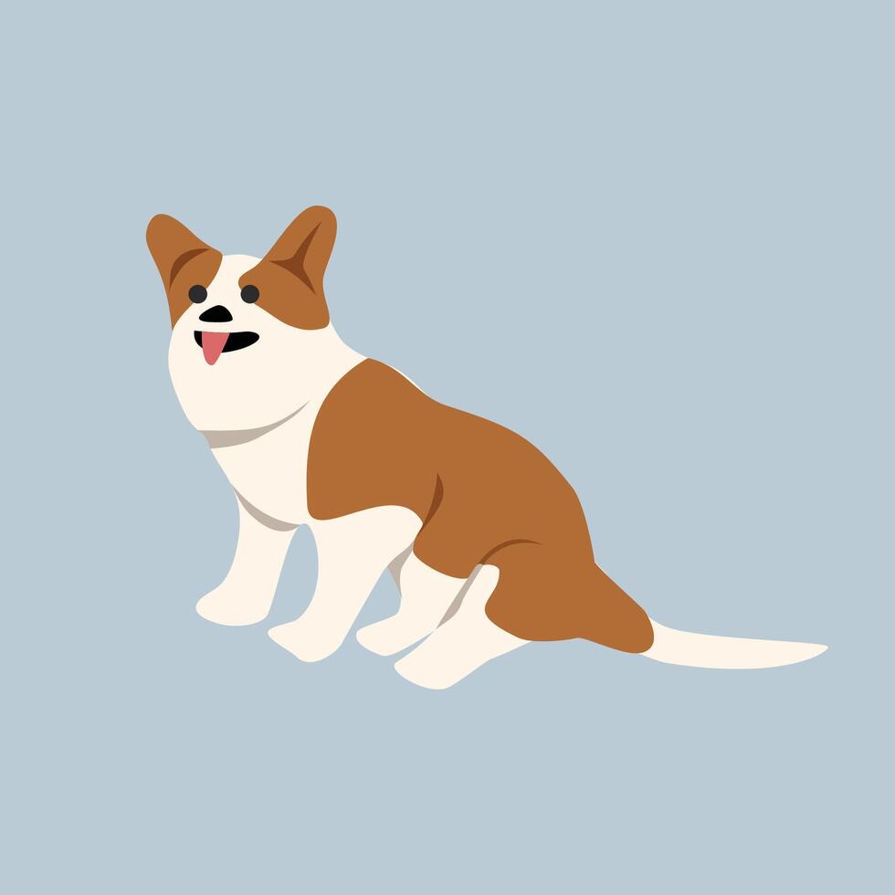 Cute welsh corgi dog. Corgi dog sitting. Corgi dog. Fluffy. Breed. Cute animal. Cute dog. Little dog. Welsh corgi dog. Canine. vector