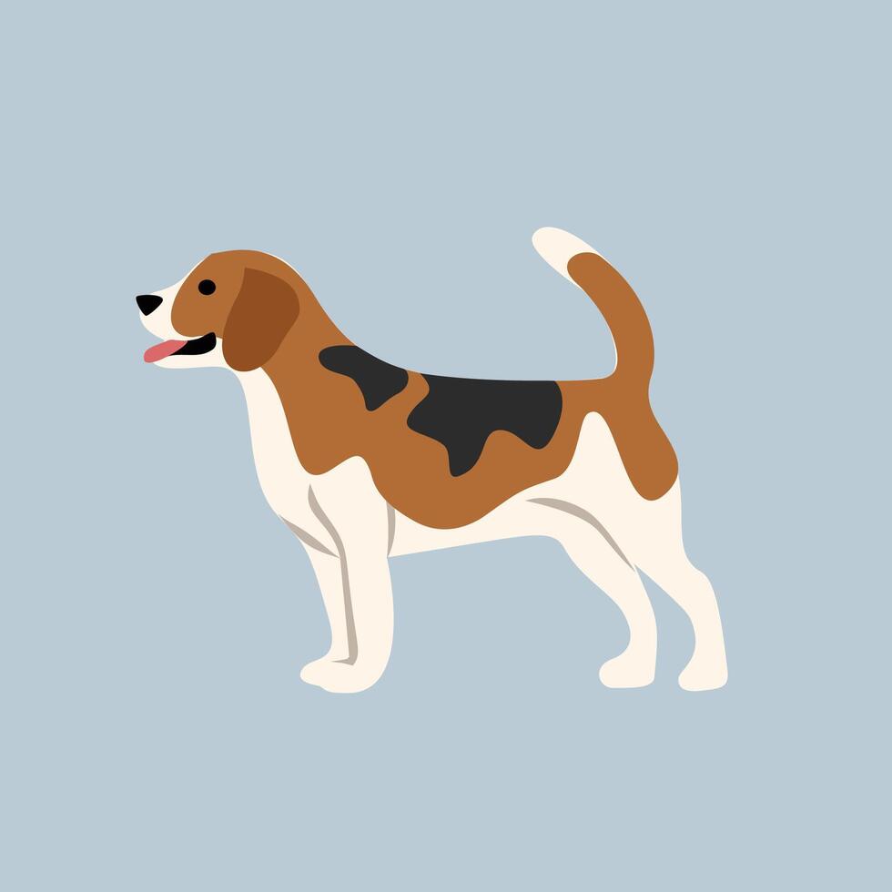 Happy Beagle Dog Illustration. Beagle dog. Cute beagle dog. Fluffy. Breed. Cute animal. Cute dog. Little dog. Canine. Dog walking. Dog barking. vector