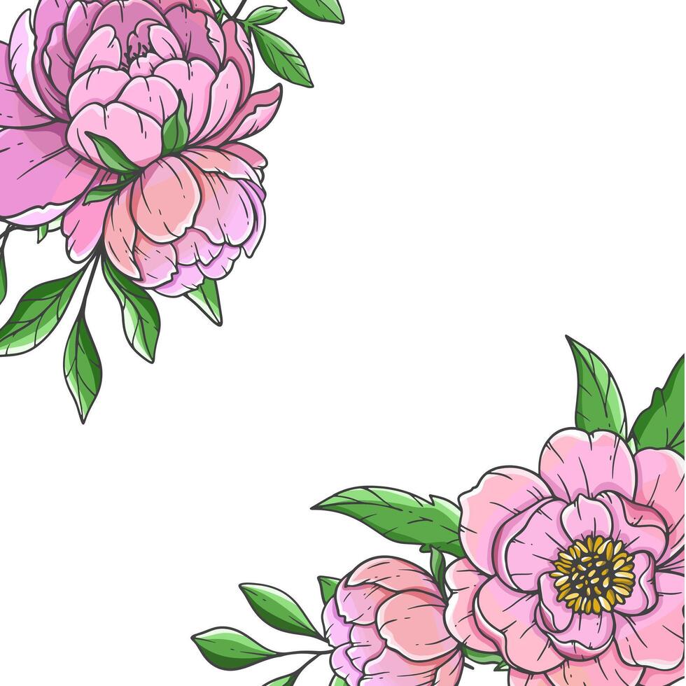 Pink Peony Corners Illustration isolated on white. Hand Drawn Peony Bouquets. Floral Line Art. Flower Design Template. Hand Drawn flowers. Peony Wedding invitation flowers vector