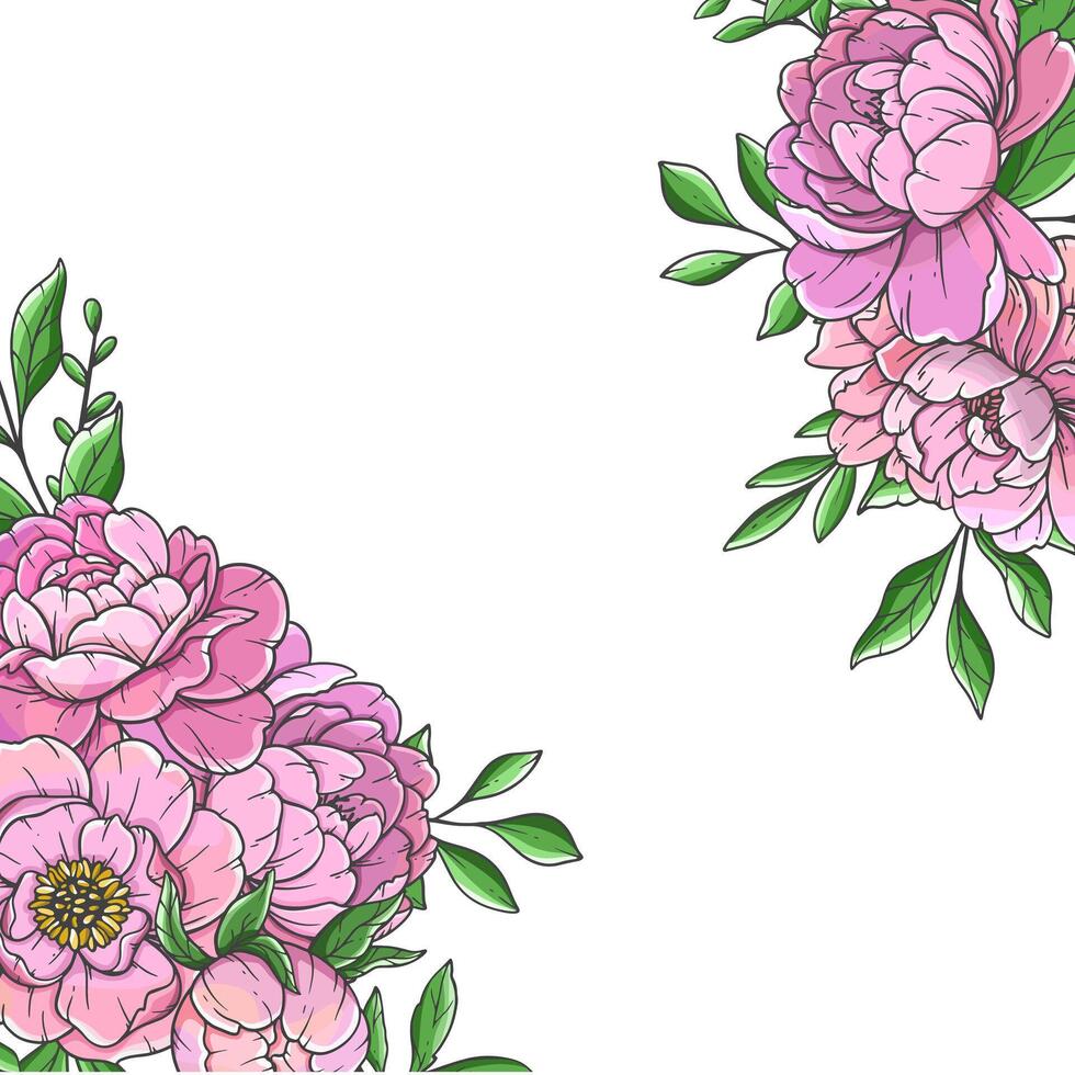 Pink Peony Illustration on white. Hand Drawn Peony Bouquets. Floral Line Art. Flower Design Template. Hand Drawn flowers. Peony Wedding invitation flowers vector