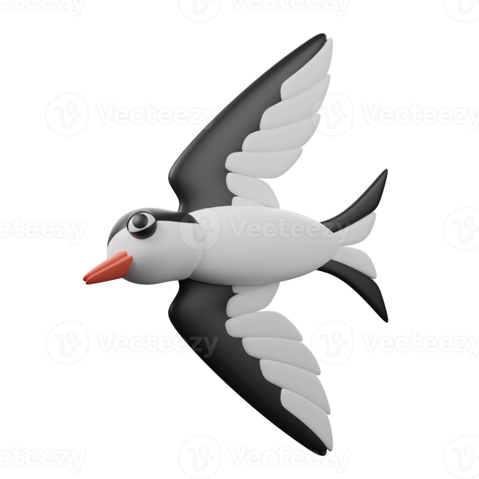 Swallow 3D illustration png