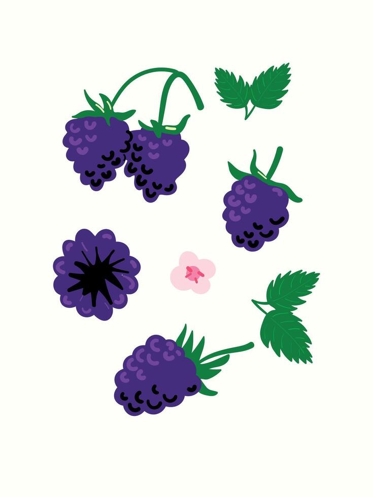 Abstract blackberries in modern artistic styles. Great for posters, cards, covers, and trendy t-shirt designs. vector