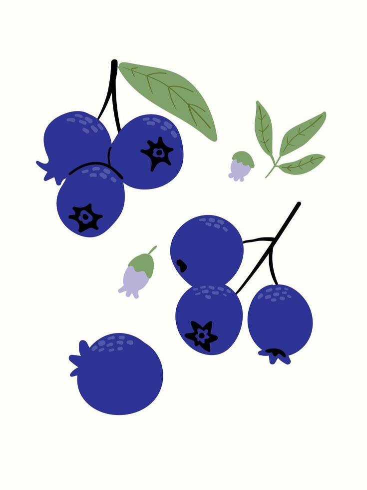 Abstract blueberries in modern artistic styles. Great for posters, cards, covers, and trendy t-shirt designs. vector