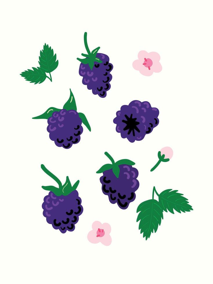 Abstract blackberry and flower in modern artistic styles. Great for posters, cards, covers, and trendy t-shirt designs. vector