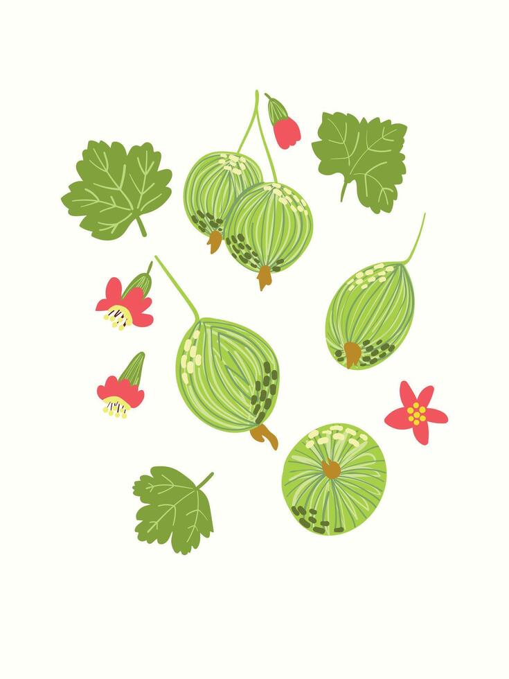 Abstract gooseberries and flowers in modern artistic styles. Great for posters, cards, covers, and trendy t-shirt designs. vector