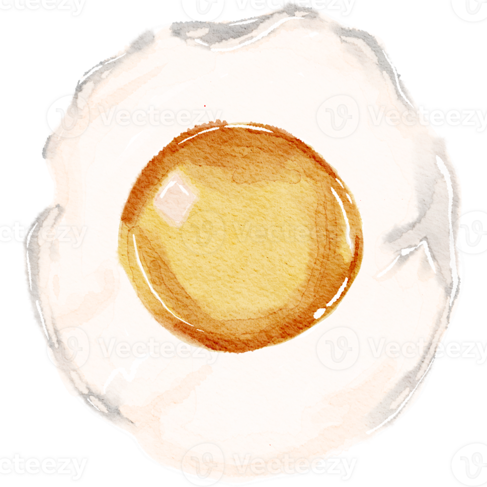 Egg poached with watercolor technique decor png