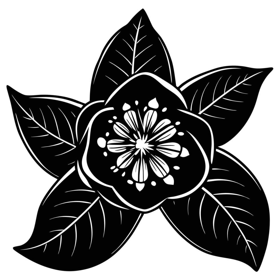 Guava flower silhouette black vector