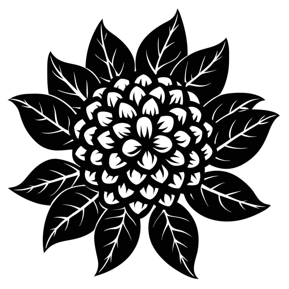 Litchi tree flower silhouette black vector