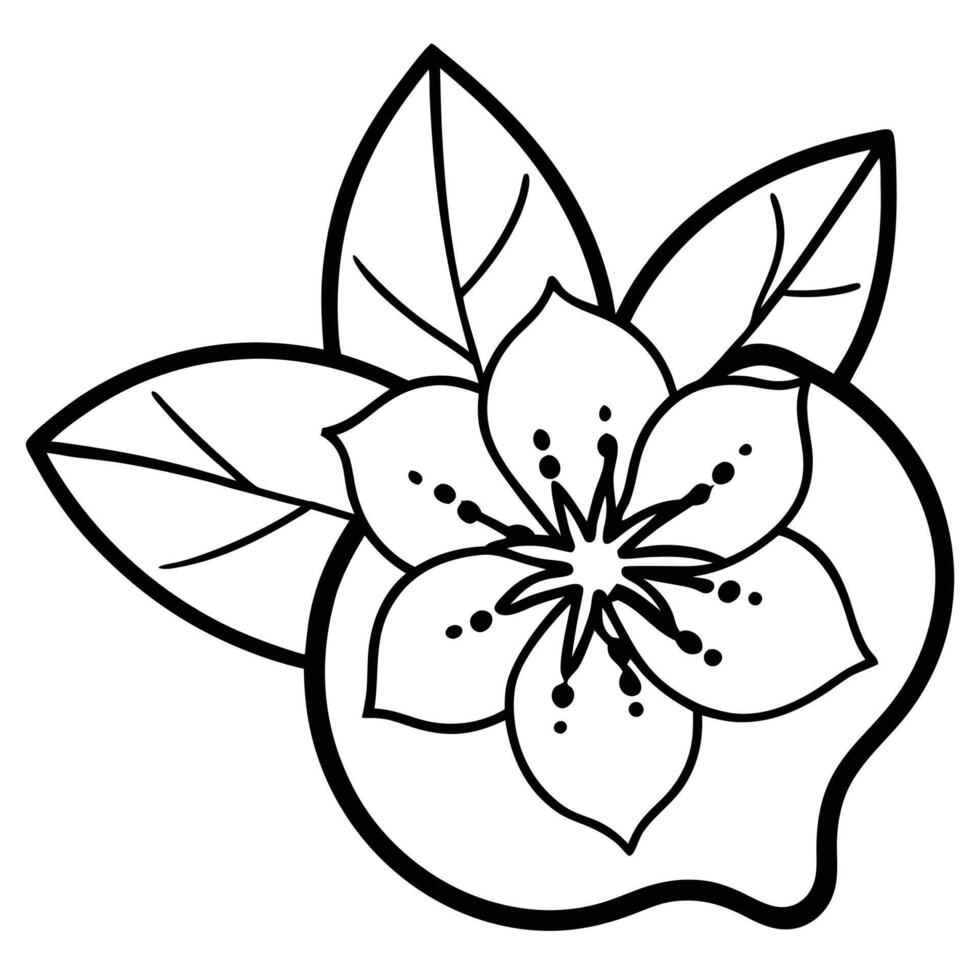 Guava flower silhouette design vector