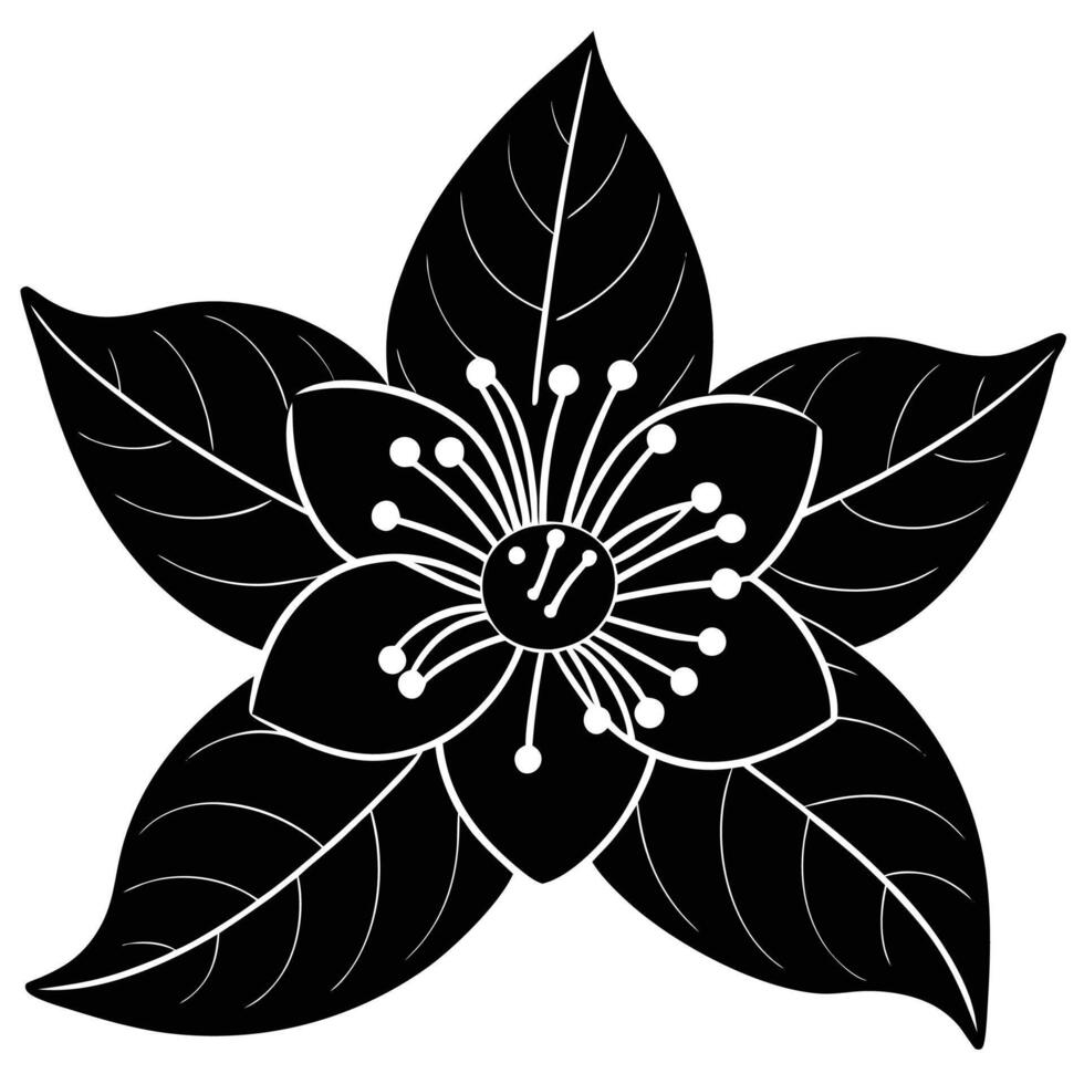 Guava flower silhouette drawing vector