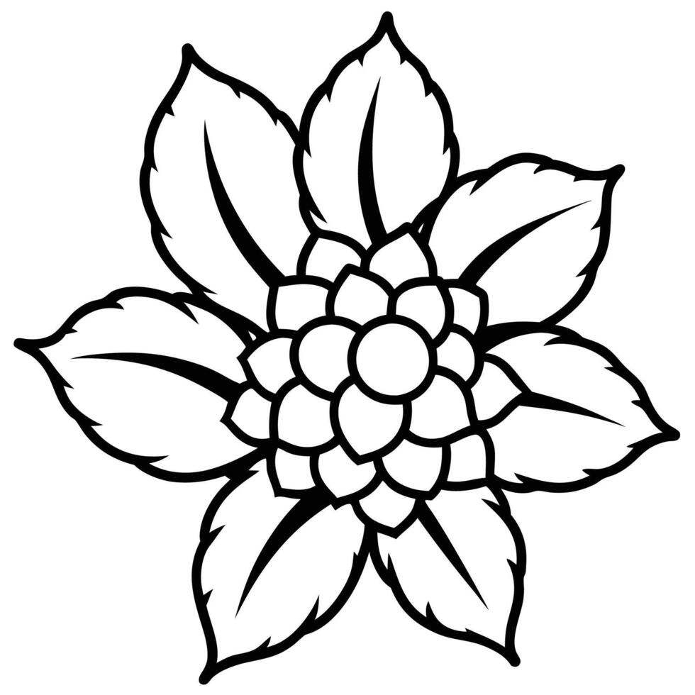 Litchi tree flower silhouette illustration vector