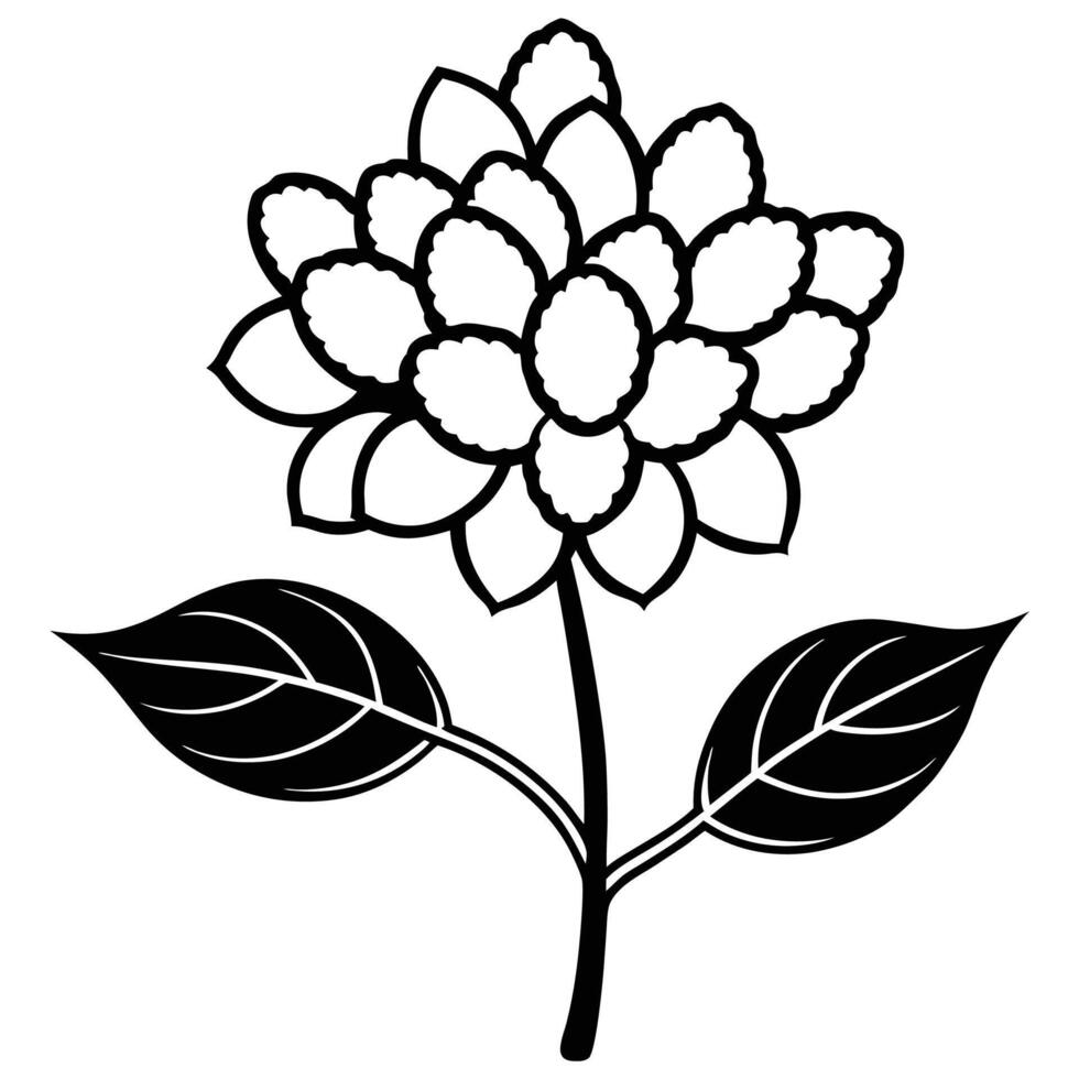 Litchi tree flower silhouette drawing vector