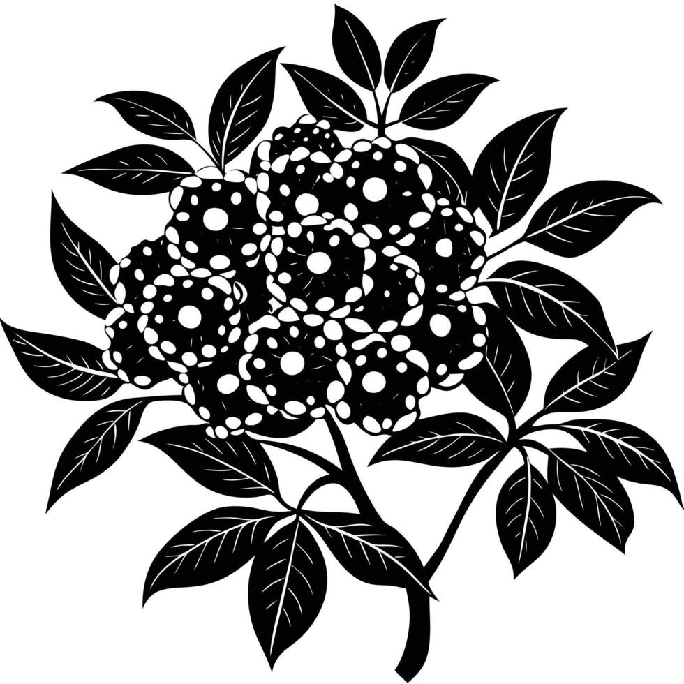 Litchi tree flower silhouette logo vector