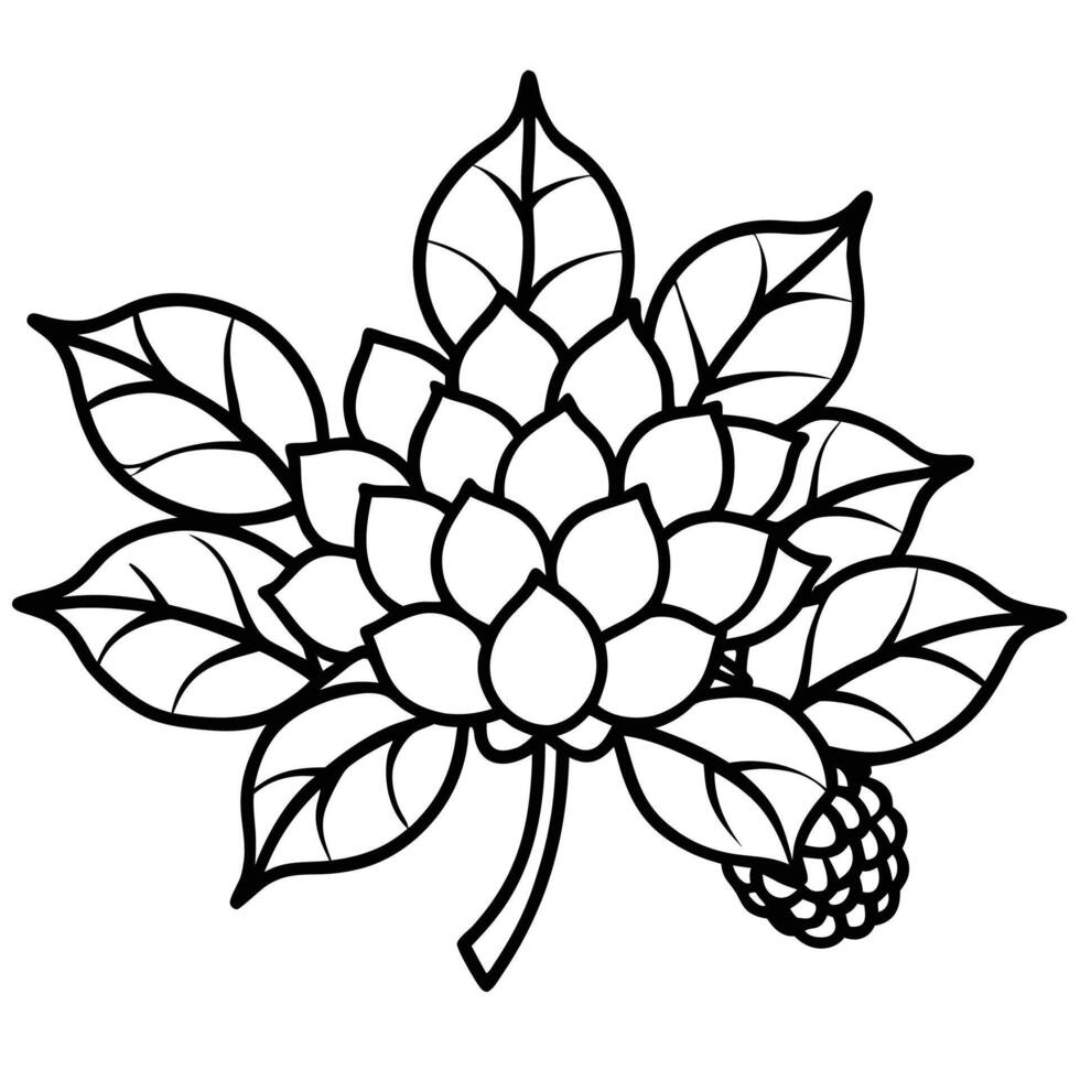 Litchi tree flower silhouette design vector