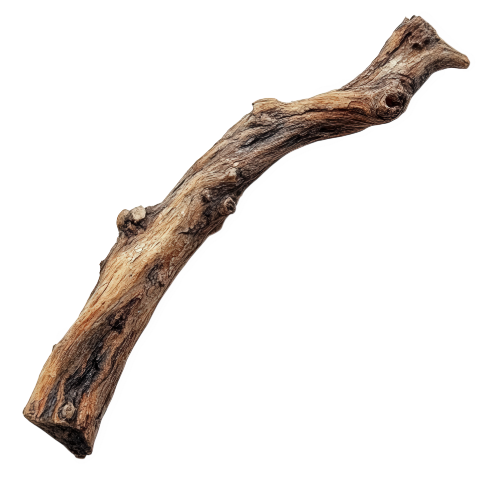 A stick with a branch on it png