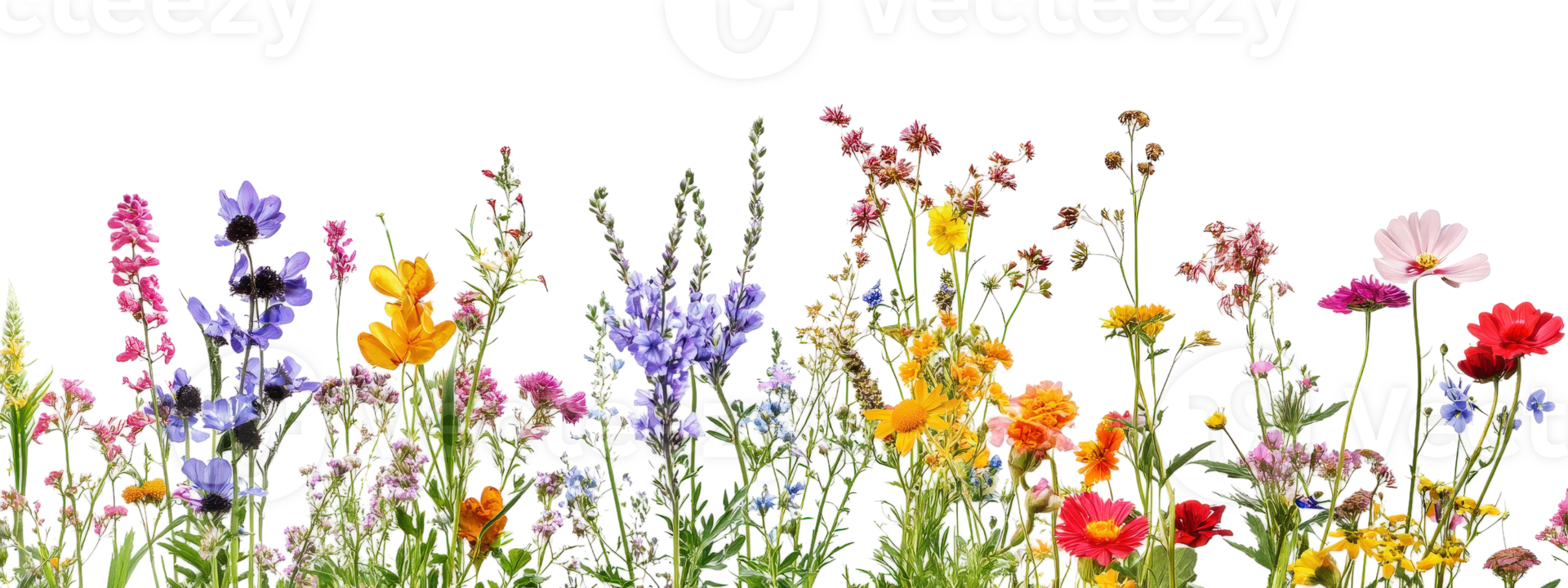 A field of flowers with a variety of colors including yellow, red, and purple. The flowers are scattered throughout the image png