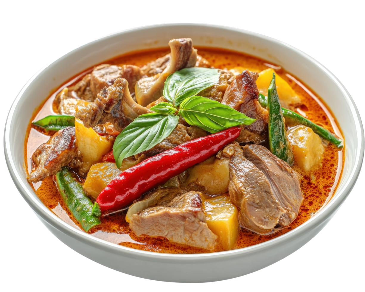 A bowl of curry with meat and vegetables png